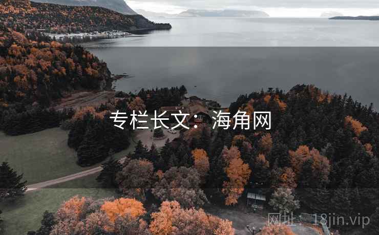 专栏长文：海角网