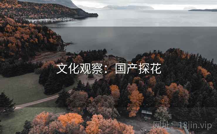 文化观察：国产探花