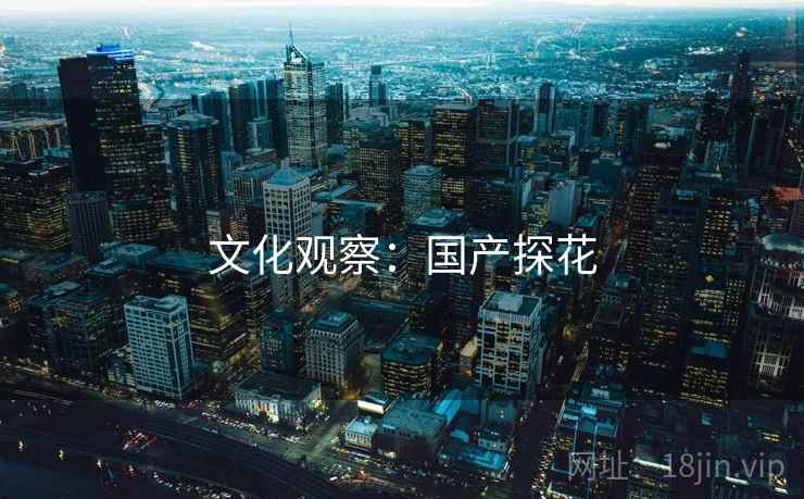 文化观察：国产探花