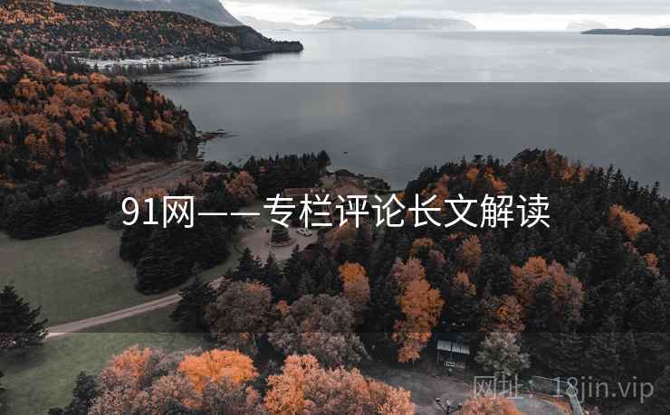 91网——专栏评论长文解读