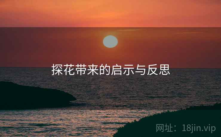 探花带来的启示与反思