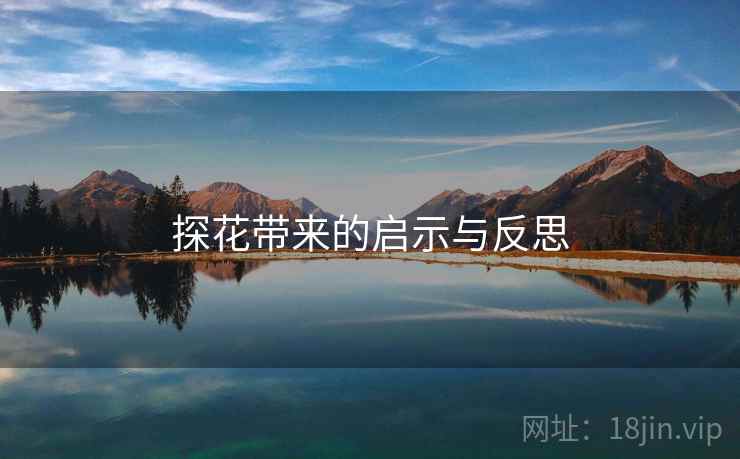 探花带来的启示与反思