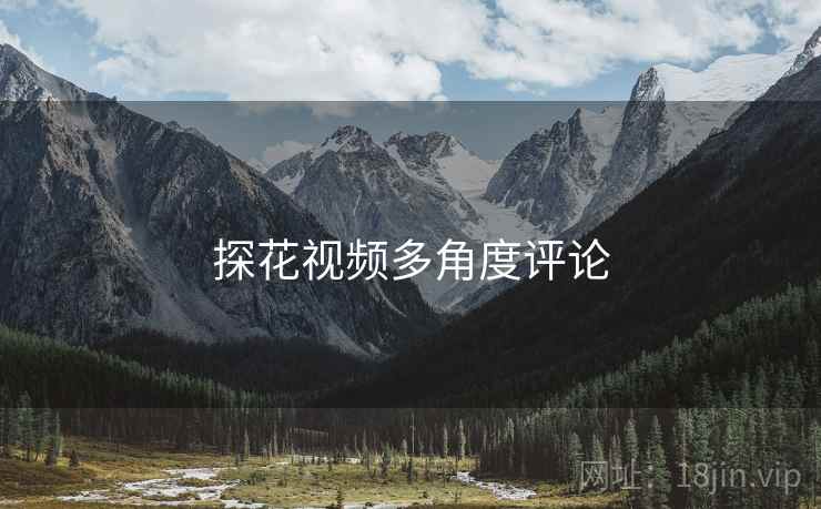 探花视频多角度评论