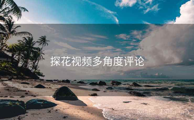 探花视频多角度评论