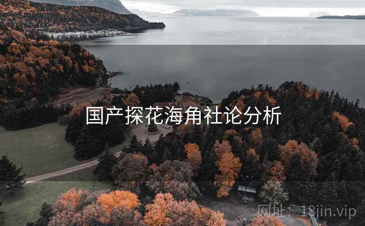 国产探花海角社论分析