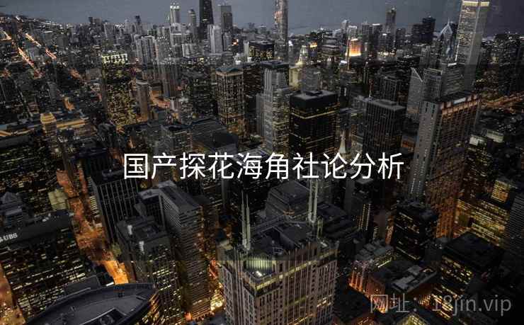 国产探花海角社论分析