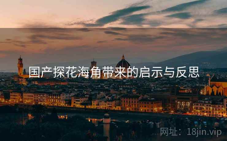 国产探花海角带来的启示与反思
