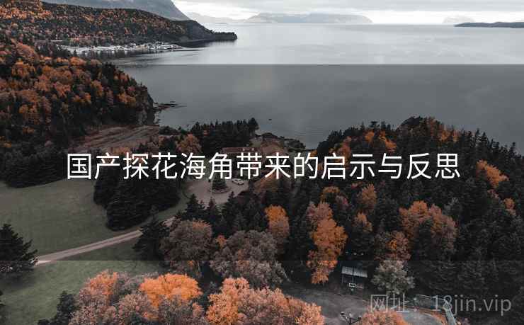 国产探花海角带来的启示与反思