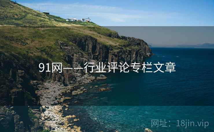 91网——行业评论专栏文章