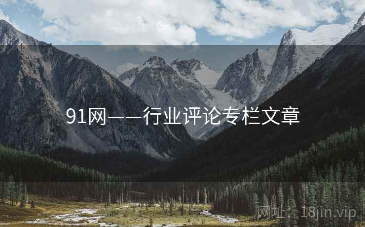 91网——行业评论专栏文章