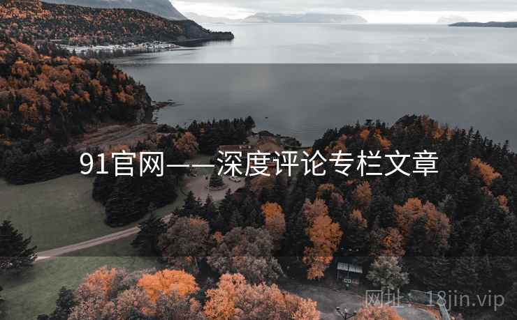 91官网——深度评论专栏文章