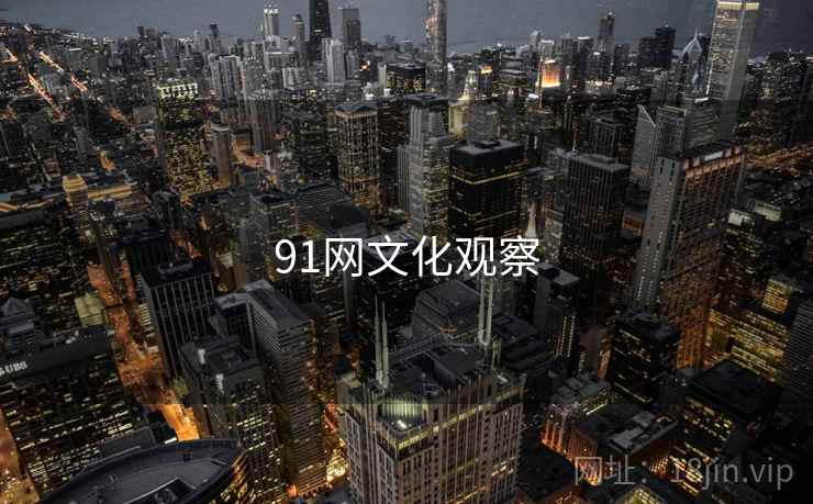 91网文化观察