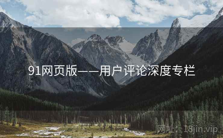91网页版——用户评论深度专栏