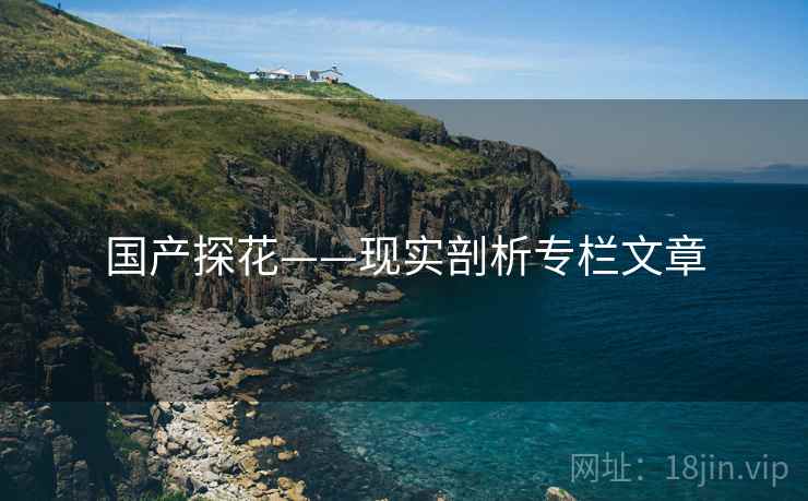 国产探花——现实剖析专栏文章