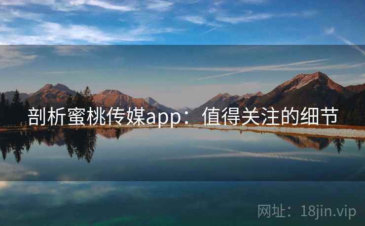 剖析蜜桃传媒app：值得关注的细节