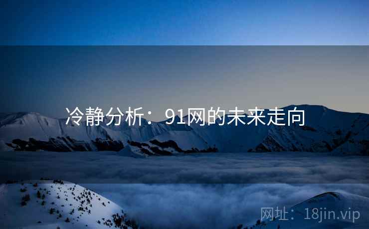冷静分析:91网的未来走向 冷静分析:91网的未来走向