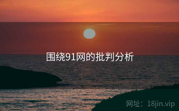 围绕91网的批判分析 围绕91网的批判分析