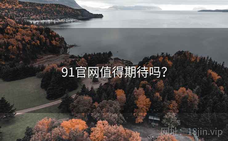 91官网值得期待吗? 91官网值得期待吗?