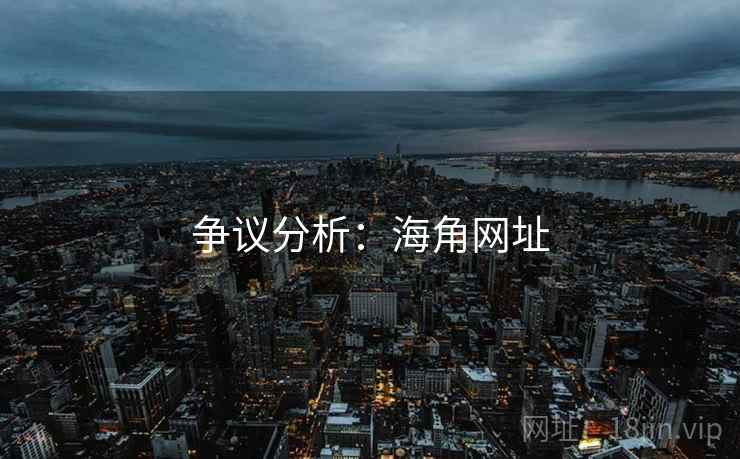 争议分析：海角网址