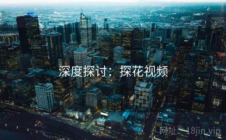 深度探讨:探花视频 深度探讨:探花视频