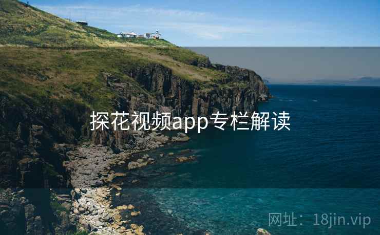 探花视频app专栏解读 探花视频app专栏解读