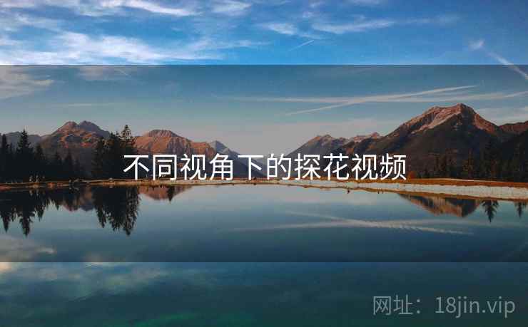 不同视角下的探花视频 不同视角下的探花视频