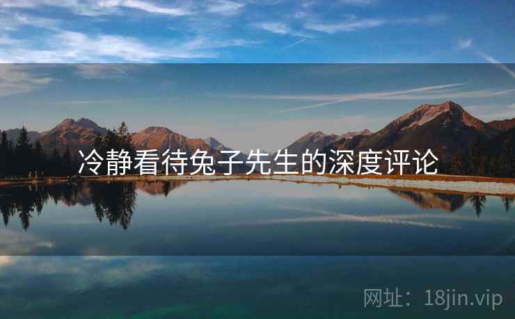 冷静看待兔子先生的深度评论 冷静看待兔子先生的深度评论