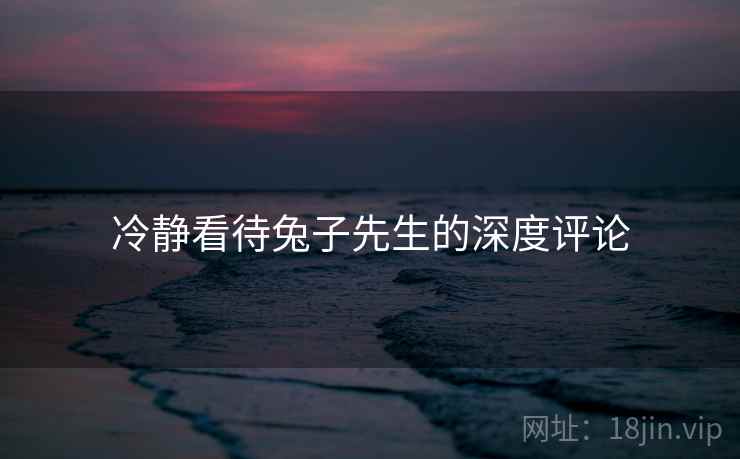 冷静看待兔子先生的深度评论 冷静看待兔子先生的深度评论